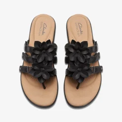 Elizabelle Mae|Clarks New