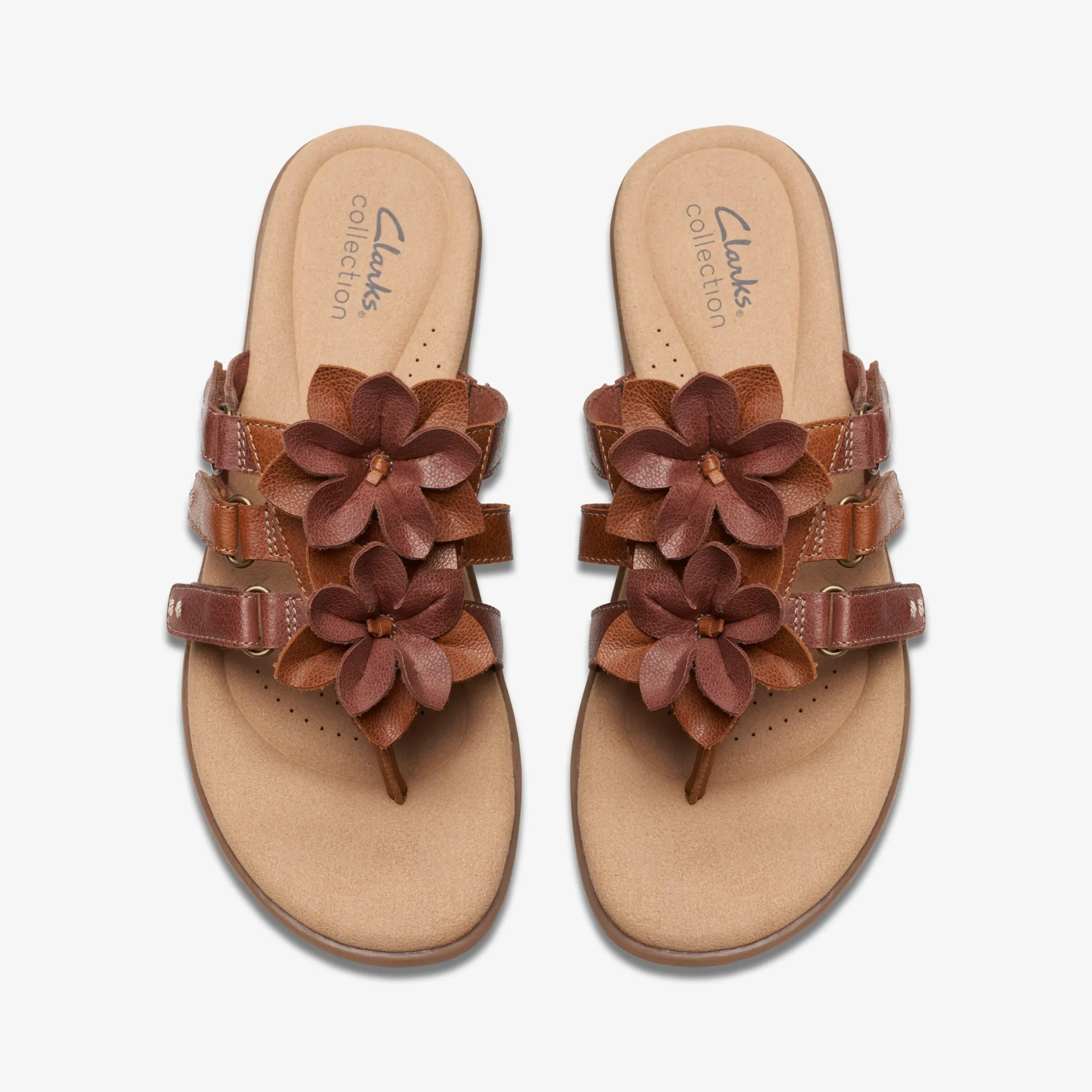 Elizabelle Mae|Clarks Hot
