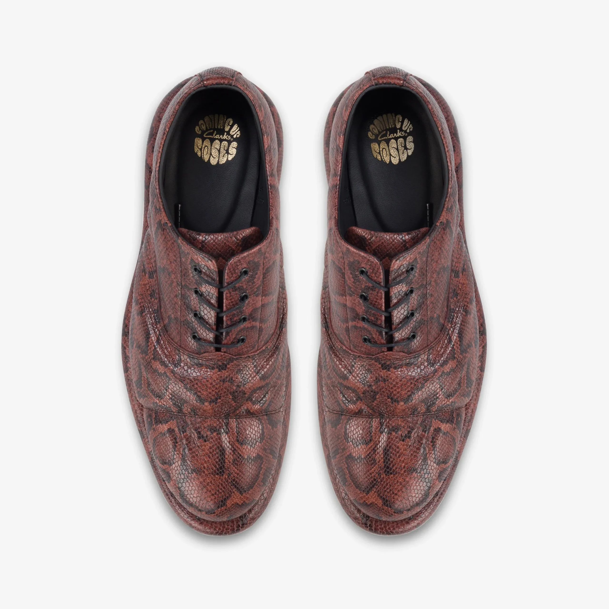Martine Rose Womens Oxford 1|Clarks Hot
