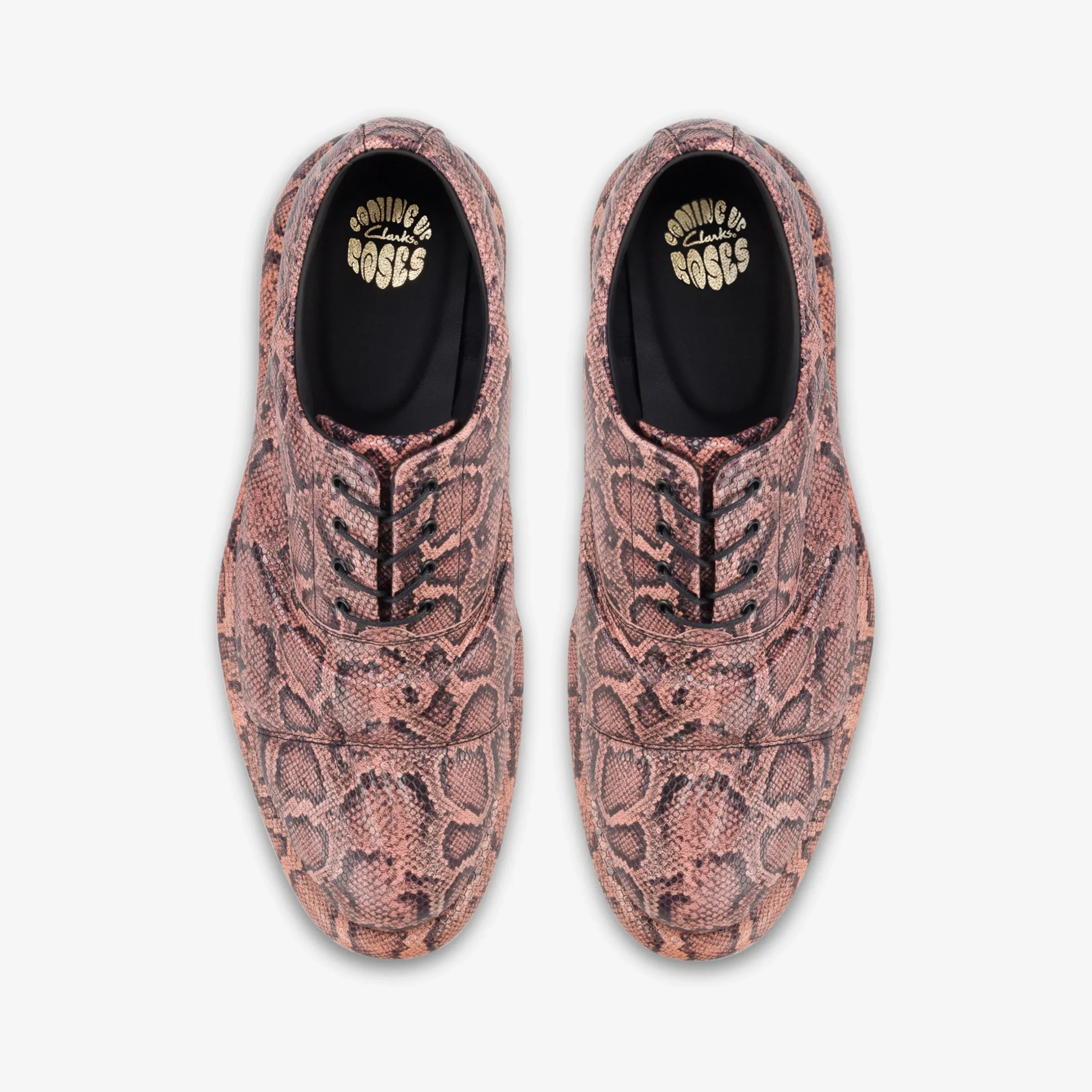 Martine Rose Womens Oxford 1|Clarks Sale