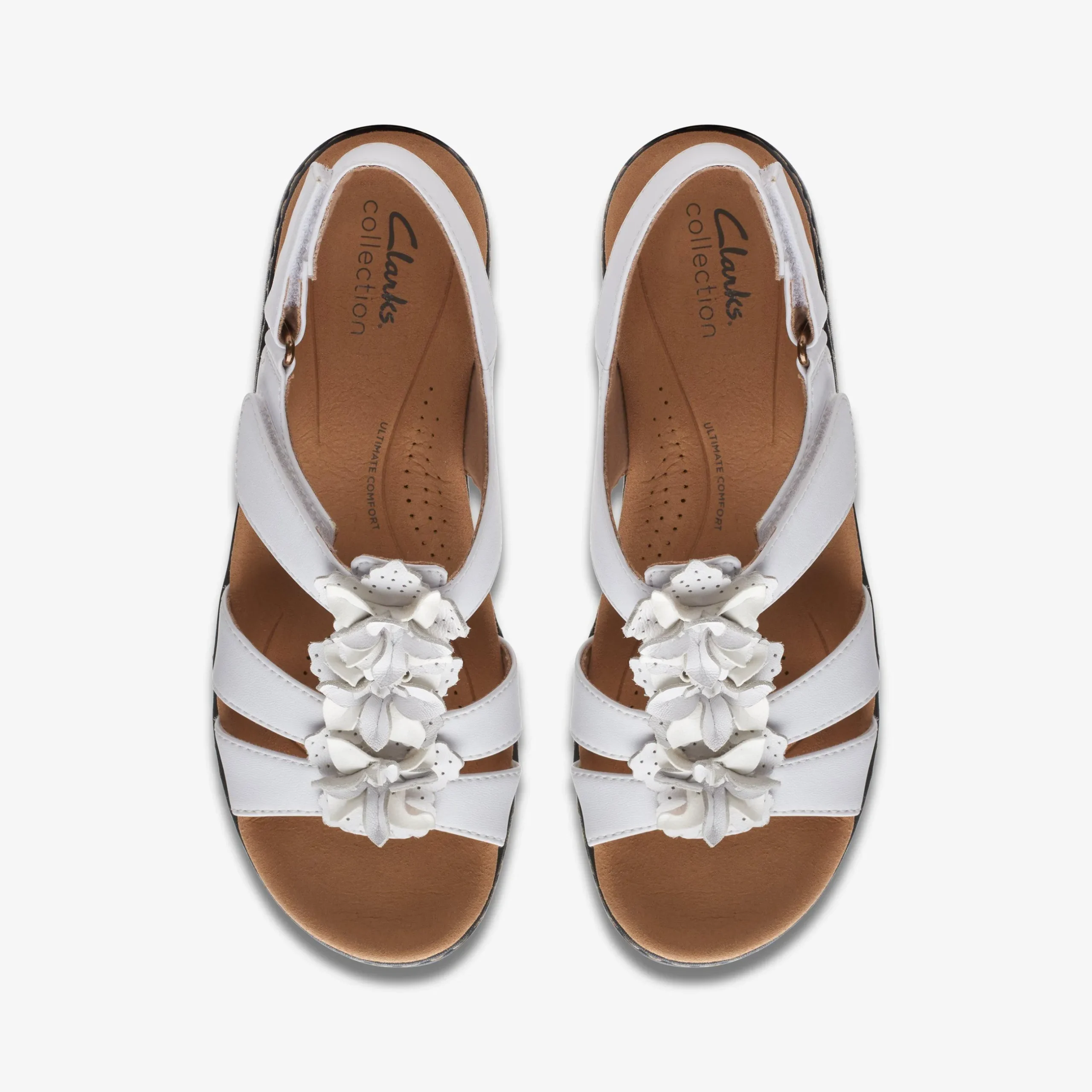 Merliah Sheryl White|Clarks Hot