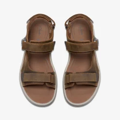 Saltway Trail|Clarks Discount